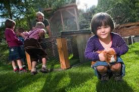 Animals At A Farm Petting Zoo Or Game Park Family Activities In Vorarlberg