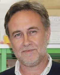 Bi- and tricyclic diterpenoids: landmarks from a decade (2013–2023) in  search of leads against infectious diseases