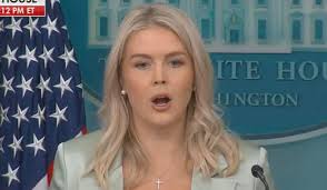 BREAKING: Karoline Leavitt becomes UNGLUED at disaster press briefing  Please support my work by subscribing to my YouTube channel:  www.youtube.com/briantylercohen