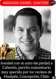 Amo a los Perros
