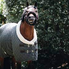 Ab wann braucht mein pferd eine decke? Wann Sollte Ich Mein Pferd Eindecken Reitsport Landenhausen