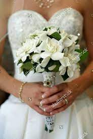 Cascading white gardenia and ranunculus bouquet. Simple But Stunning White Gardenias Greenery Bridal Bouquet White Wedding Bouquets Wedding Bouquets Flower Bouquet Wedding