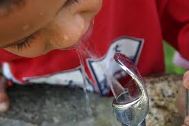 tap water safe to drink? fact sheet