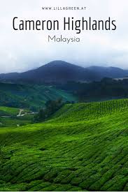 The cameron highlands is one of my fav southeast asia spots. Pin On Lillagreen Travel Blog