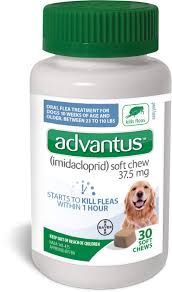 81 ($24.81/count) get it as soon as fri, mar 19. Best Flea Pills For Dogs Oral Flea Medication For Dogs Free Shipping Chewy