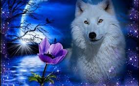 We have an extensive collection of amazing background images carefully chosen by our community. White Wolf Wallpapers Wolf 5d Diamond Painting 1920x1200 Download Hd Wallpaper Wallpapertip