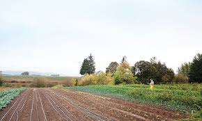 Even pull farm, mcminnville, or. This Is Hobby Farming The Beginning Farmer Hobby Farms