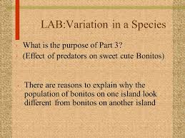 Desi bhabhi enjoy with boyfriend. Lab Variation In A Species What Is The Purpose Of Part 1 Measuring Pumpkin Seeds There Is Variation In Size In Pumpkin Plants Variation Can Be Measured Ppt Download
