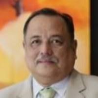 40+ "Almonte Jr" profiles