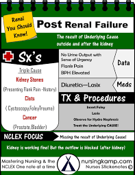 Acute Renal Failure Pre Post Intrarenal Falure Chloride Co2 Bicarb Potassium Hyperkalemia Hypokalemia Hyponatremia Sodium Nursing Notes Nurse Nursing Mnemonics