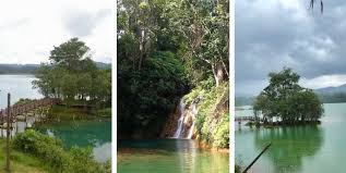 Ia turut menempatkan lebih 8,000 spesies bunga, 2,500 spesies tumbuhan, 800 spesies orkid dan 300 spesies kulat. Top 41 Tempat Menarik Di Terengganu 2021 Yang Femes Best