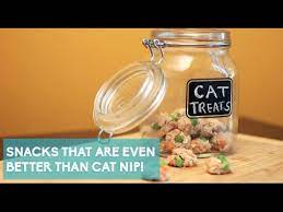 You can also freeze a few of their favorite treats along with the goat's milk to make them even better. No Bake Tuna Treats Your Cat Will Love Youtube