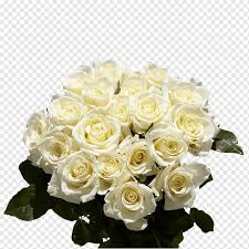 Check spelling or type a new query. Globalrose Fresh Flowers And Roses At Wholesale Prices Flower Bouquet White Arbic Flower Arranging White Wedding Png Pngwing