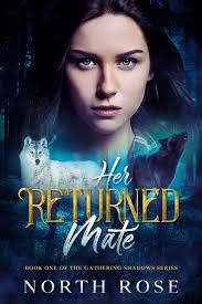 Her Returned Mate (The Gathering Shadows Series, Book I) Chapter 3 Read  Online for Free