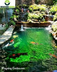 Tukang Kolam Minimalis Lamongan Jasa Pembuatan Kolam Koi Minimalis Lamongan Wingsang Garden Wingsang Garden 27 Di 2020 Kolam Kolam Ikan Air Mancur