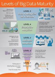 Ncpl Provides Data Strategy Architecture Engineering Advanced Analytics And Data Governance Services Le Data Analytics Domain Knowledge Big Data Analytics