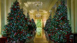 It is then personally delivered by pinecrest and adorned with 1,500 white lights. Photos The Stunning 2020 White House Christmas Decorations Mamaslatinas Com