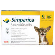 Do not use this medication in dogs less than 6 months old or weighing less than 2.8 lbs. Buy Simparica For Dogs On Sale Now 1800petmeds Category Uuid 258049c23589486bf5b648a6f4