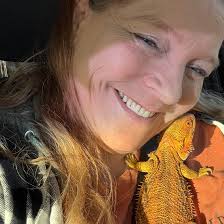 Is my Anole enclosure too cluttered for crickets?