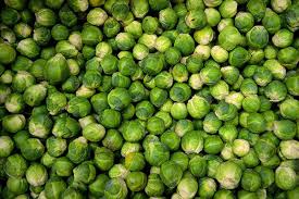 Planning Ahead In June For Christmas Dinner In Your Polytunnel