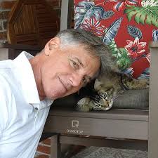 Amazon.com: A Cat in the Act: 9781955826594: Arsenault, Brian: Books