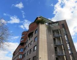 Prof. dr. Ester Heath je