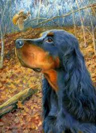 Find puppies for sale, started dogs for sale and finished dogs from all sorts of different pointing breeds, retrieving breeds and flushing breeds. Beth Mull Bamknm Profile Pinterest