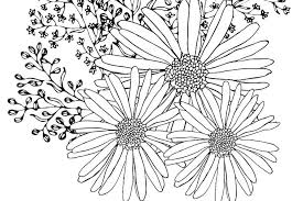 Free, printable coloring pages for adults that are not only fun but extremely relaxing. Flowers Coloring Pages 10 Free Fun Printable Coloring Pages Of Spring Flowers Printables 30seconds Mom