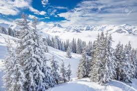De oostenrijkers zorgen daarbij nog eens voor een warm onthaal in het gezellige alpenland. Bomen Die Door Verse Sneeuw In De Alpen Van Oostenrijk Van Kitzbuhel Skigebied Een Van De Beste Ski Resort In De Workd Met 54 Kabelbanen 170 Km Geprepareerde Pistes En De Plaats