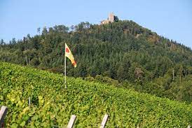 Yburg (begriffsklärung) — yburg steht für: Yburg Stadt Baden Baden