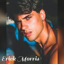 A Híbrida do Supremo Alpha