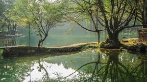 Check spelling or type a new query. 24 Wisata Kuningan Jabar Terbaru Dan Hits Terlengkap Wajib Banget Dikunjungi Hot Liputan6 Com