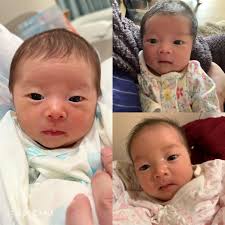 肆豆日記- 【三姊妹】 三姊妹比一比～～大家認得出來誰是誰嗎？ #小紅豆#小蜜豆#小花豆| Facebook