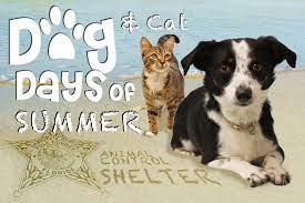 Cedartown polk county humane society. Polk County Animal Control Giving Away Free Pets On Saturdays During Dog And Cat Days Of Summer Promotion Dailyridge