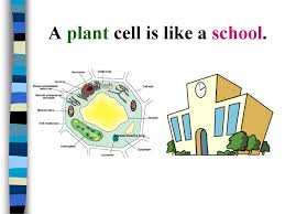 Viewed from outer space, it is hard to see how human life is organized. Cell Analogies Ppt Download