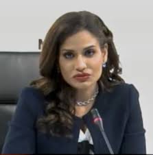 Ministry officials reviewing parallel healthcare system