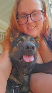 My German Shepherd soaking up the Sun