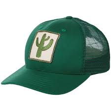 Cactus, hats, colorful, carnival, plant, flower, prickly, thorns. Mollusk Cactus Patch Trucker Hat Evo