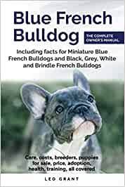 Their coats are not blue in the conventional sky or sea blue. Blue French Bulldog Care Costs Price Adoption Health Training And How To Find Breeders And Puppies For Sale Grant Leo Amazon De Bucher