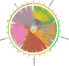 Image result for pseudomonas savastanoi pv nerii oleander symptoms