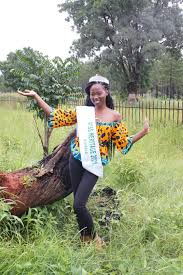 Image result for Entandrophragma delevoyi