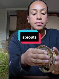 Indoor Commercial Sprout Setup