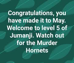 Pin On Pandemic 2020