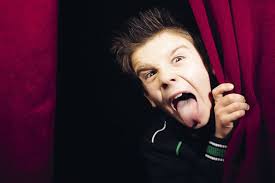 Soisalo-opiston opinto-ohjelma 2023-2024