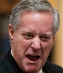 Linda Yannone's Instagram, Twitter & Facebook