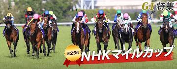 Nhkマイルカップ 競馬 nhkマイルカップ 競馬 nhkマイルカップ 競馬 nhkマイルカップ 競馬 nhkマイルカップ 競馬 nhkマイルカップ 競馬 nhkマイルカップ 競馬. ç¬¬25å›ž Nhkãƒžã‚¤ãƒ«ã‚«ãƒƒãƒ— éŽåŽ»10å¹´ã®å‚¾å' ãƒ‡ãƒ¼ã‚¿ G ç‰¹é›† ç«¶é¦¬äºˆæƒ³ ç«¶é¦¬æƒ…å ±ãªã‚‰jra Van