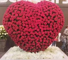 Heart Rose Bouquet Flowers Floral Roses Flower Pictures Rose Bouquet Rose Flower Pictures Rose Bouquet Rose Bouquet Pictures