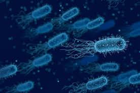 How Long Does It Take For Antibiotics To Work How It Works
