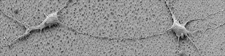 Aktuelle nachrichten, news und kommentare aus wirtschaft, politik, sport, kultur, gesellschaft, wissen & lifestyle. Research Group Blick Nanostructure And Solid State Physics Universitat Hamburg