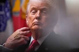 Trump insists 'Trump is sharp' despite cabinet meeting appearing to show  him sleeping | Fortune